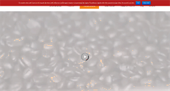 Desktop Screenshot of cafeveracruz.com